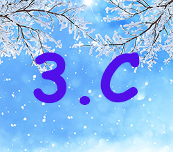 3 C