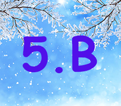 5 B