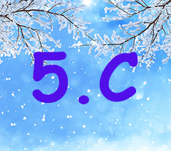 5 C