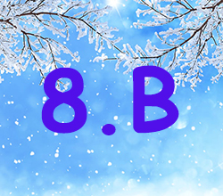 8 B