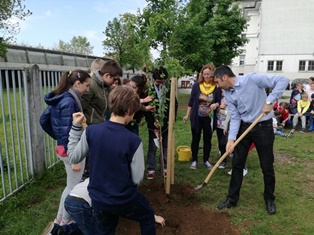 14 planting a tree of friendship