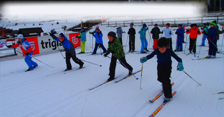 ZIMOVANJE POKLJUKA  4.b in 4.c 2017